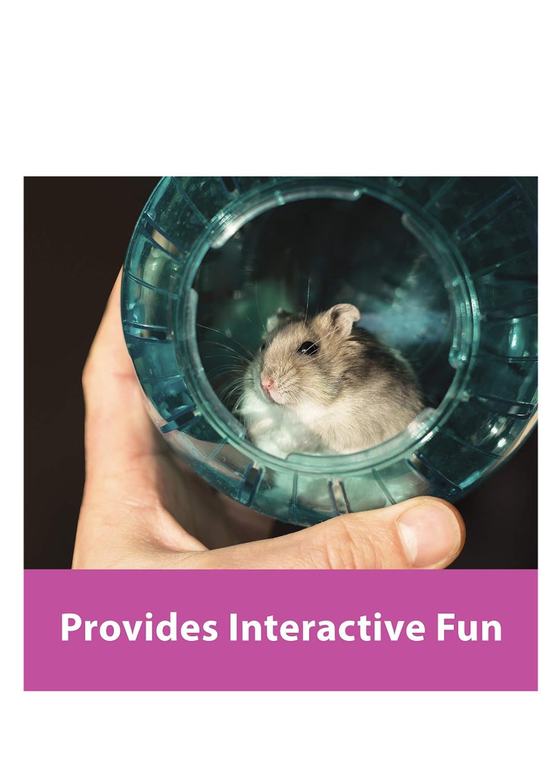 Kaytee - Kaytee 7" Moon Glow Run-About Exercise Ball For Pet Hamsters & Gerbils - Image 1
