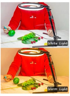 XiuWoo 10 inch Photography Ring Light with Desk Stand and Phone Holder, Desktop LED Circle Light, Phone Ring Light for Selfie, Makeup, Live Streaming  - Image 3