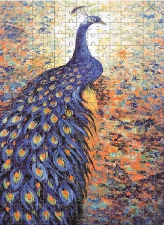 Peacock Puzzle Set, 1000 Pieces - Multicolor - pzsku/ZF63BE0648AD9D5FF9924Z/45/1742273651/a094a193-d212-4e0b-bd6b-e46e8dc618af