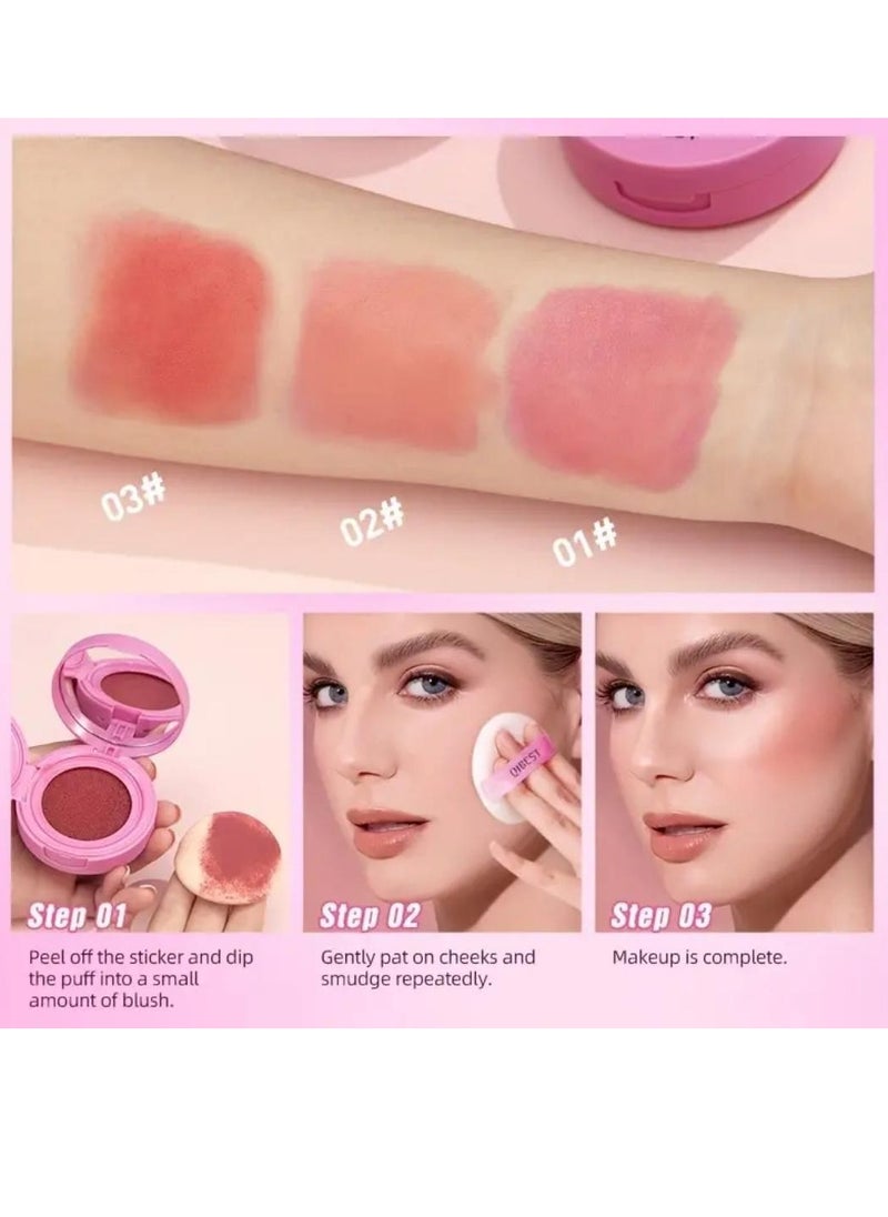 Nice Cushion Blusher Shimmer Face Highly Pigmented Blush Makeup Long Lasting and Lightweight Loose Powder Blush Air Cushion Blush Natural Blusher for Cheeks #02 Sweet Orange - pzsku/ZF63E5214853B364DE656Z/45/_/1698910938/9c9b65ed-a020-41db-8dec-6c24cb36606c