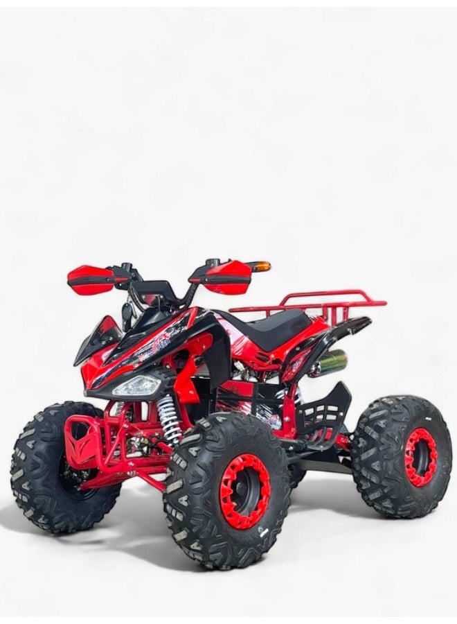 Large size 60V dune buggy - Image 3