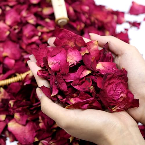 Oning 300 PCS Biodegradable Red Rose Petals Wedding Confetti 20 Cups Dried Flower Petals for Valentines Day Bath Bridal Shower Soap Candle Making Mothers Day Presents and Bridal2 QT - Image 1