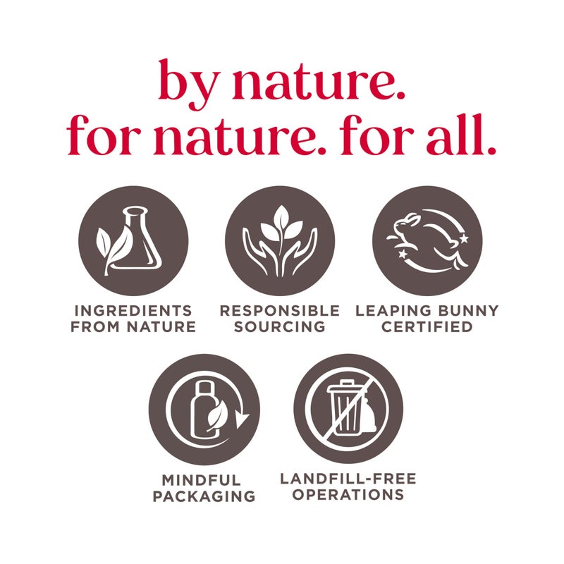 Burt's Bees Gifts Ideas - In Full Bloom Lip Balm Set, Original Beeswax, Dragonfruit Lemon, Tropical Pineapple & Strawberry, Natural Origin Lip Treatment, 4 Tubes, 0.15 oz. - Image 2