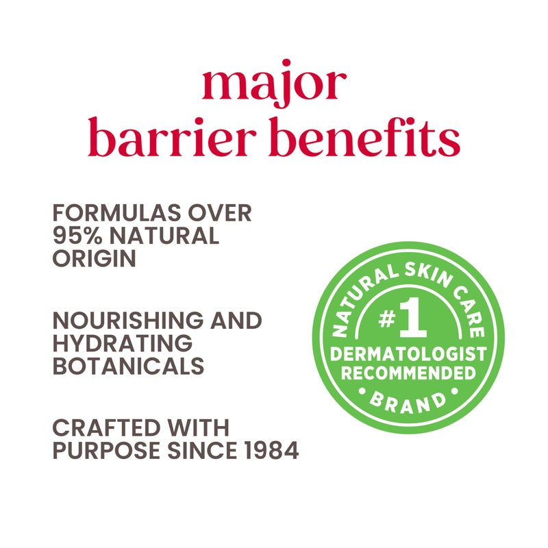 Burt's Bees Gifts Ideas - In Full Bloom Lip Balm Set, Original Beeswax, Dragonfruit Lemon, Tropical Pineapple & Strawberry, Natural Origin Lip Treatment, 4 Tubes, 0.15 oz. - Image 5