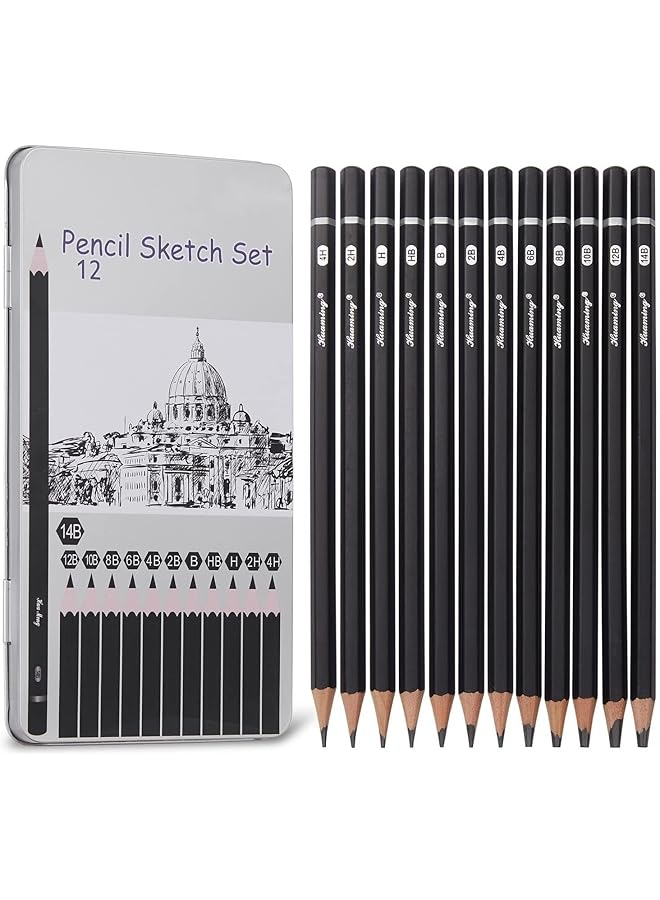 erorex Professional Drawing Sketching Pencil Set 12 Pack Art Drawing Sketch Pencils Graphite Pencils 14B 4H Ideal For Drawing Art Pencils For Drawing And Shading Back To School Supplies - Image 1