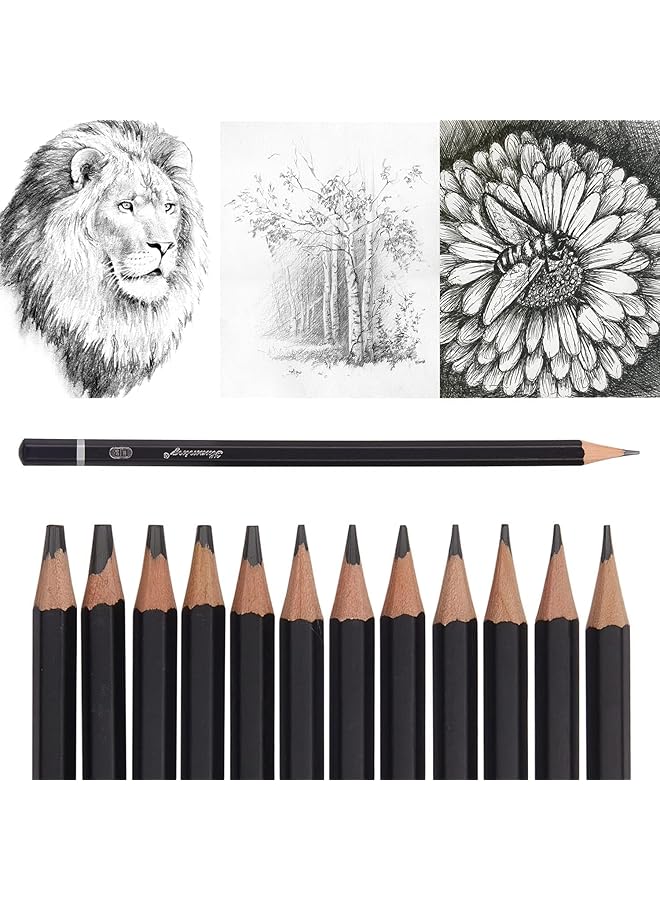 erorex Professional Drawing Sketching Pencil Set 12 Pack Art Drawing Sketch Pencils Graphite Pencils 14B 4H Ideal For Drawing Art Pencils For Drawing And Shading Back To School Supplies - Image 2