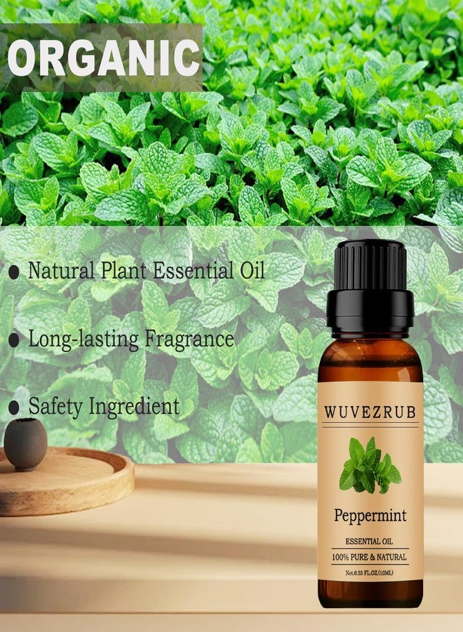 Wuvezrub Peppermint Essential Oils 10ML, 100% Pure and Natural Essential Oil for Aromatherapy Diffuser - 0.33 Fl Oz/Peppermint - Image 4