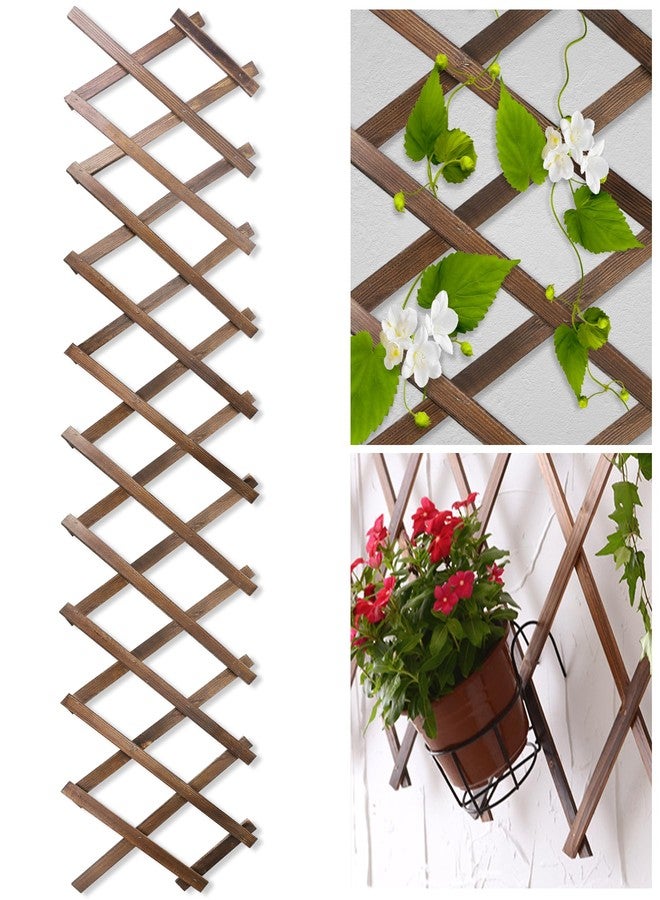 Miuwauer Wood Lattice Fence Panels for Outside 13.4"x78.8" Expandable Natural Wooden Wall Trellis Board Decorative Lattice Trellis Frame Durable for Climbing Plants Vine Ivy Rose Outdoor Balcony Garden 1 Pcs - Image 1