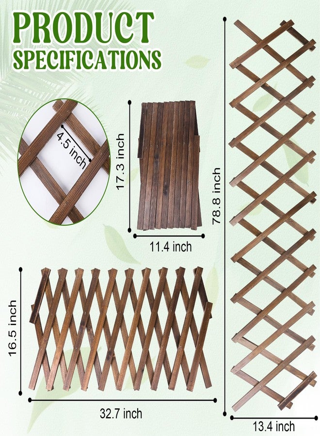 Miuwauer Wood Lattice Fence Panels for Outside 13.4"x78.8" Expandable Natural Wooden Wall Trellis Board Decorative Lattice Trellis Frame Durable for Climbing Plants Vine Ivy Rose Outdoor Balcony Garden 1 Pcs - Image 2