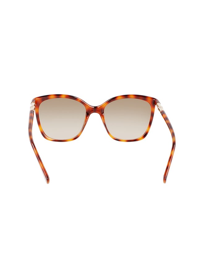 Longchamp نظارة شمسية للنساء للحماية من الأشعة فوق البنفسجية - LO710S-230-5619 - مقاس العدسة: 56 ملم - Image 4