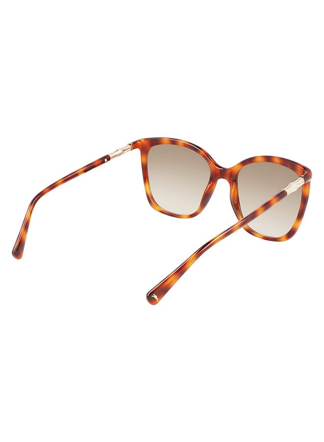 Longchamp نظارة شمسية للنساء للحماية من الأشعة فوق البنفسجية - LO710S-230-5619 - مقاس العدسة: 56 ملم - Image 5