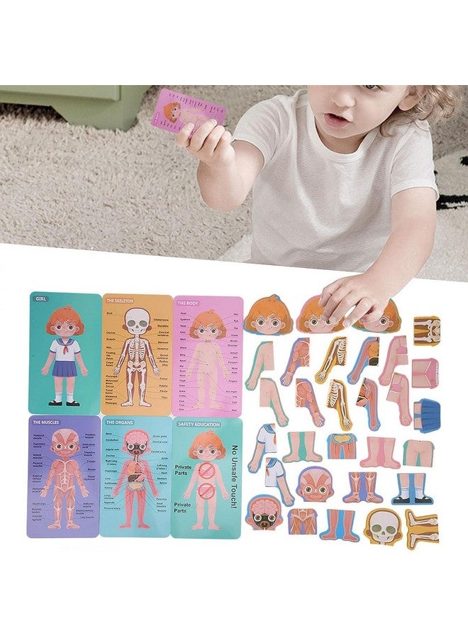 MUMMAMIA Magnetic Wooden Human Body Parts Structure Puzzle (Human Body (Girl)) - Image 2