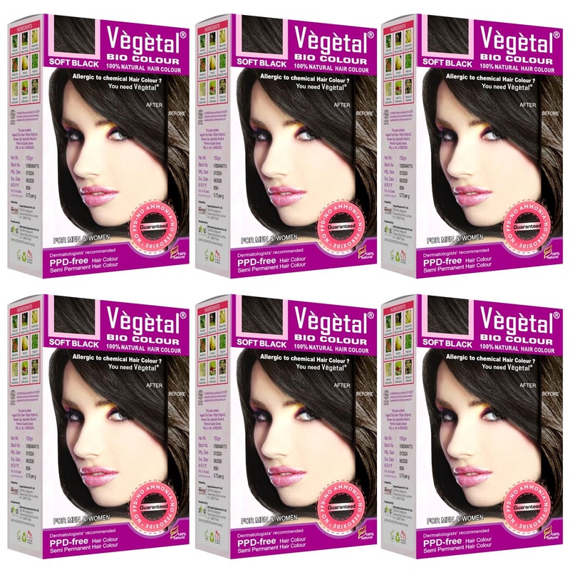 Vegetal Bio Hair Colour Soft Black 150g Pack of 6 Achieve Natural AmmoniaFree Hair Color PPDFree 100 Herbal Certified Organic for Men and Women - Image 1