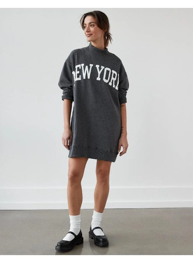 American Eagle Sweatshirt Mini Dress