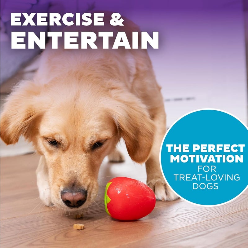 اوتورد هاوند لعبة مضغ للكلاب من Outward Hound Foodies على شكل جزرة وفراولة لتوزيع المكافآت، لون وردي - Image 5
