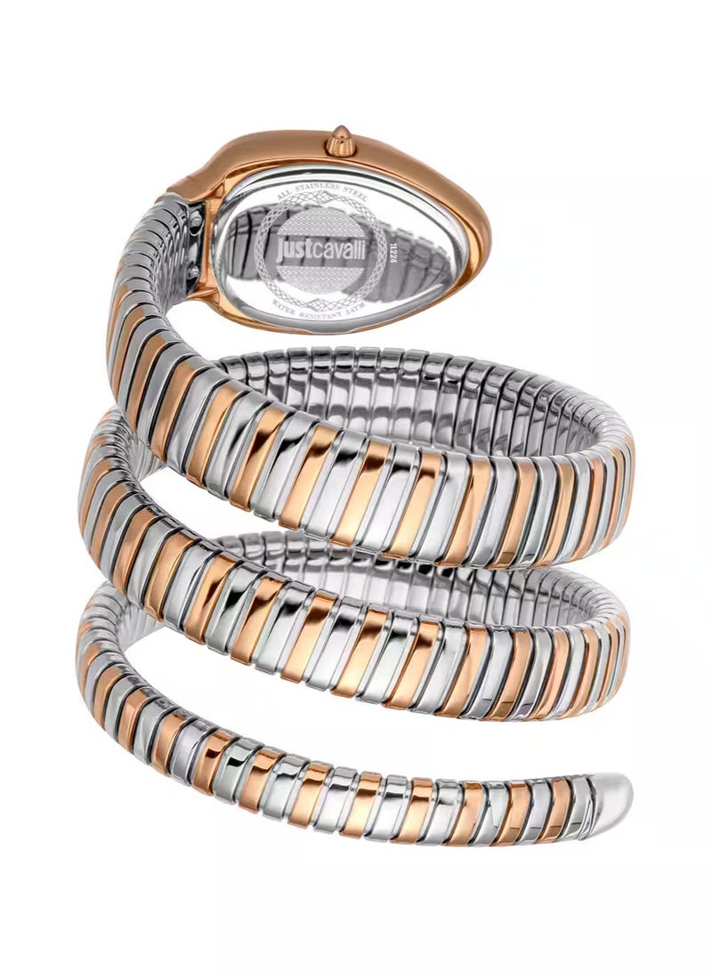 جي سي ساعة جست كافالي JC1L224M0095 ساعة جلام ايفو 9 العائلية للنساء - Image 2