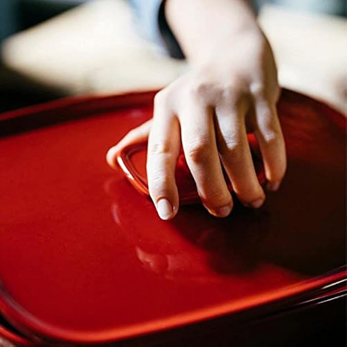 rayihni Lid For Oven Dish - Image 4