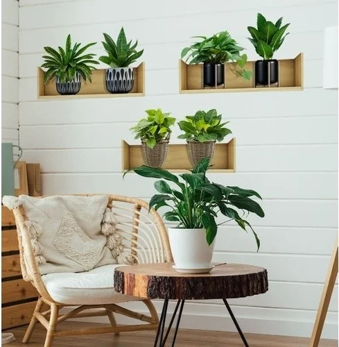Safestore Shelf Plant Design Adhesive Sticker 20*30 cm 3pcs