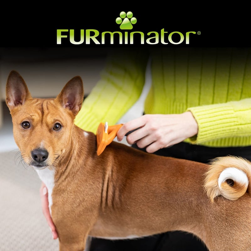 FURminator Undercoat deShedding Tool for Medium Short Hair Dogs 9-23 kg, Orange with grey - Image 4