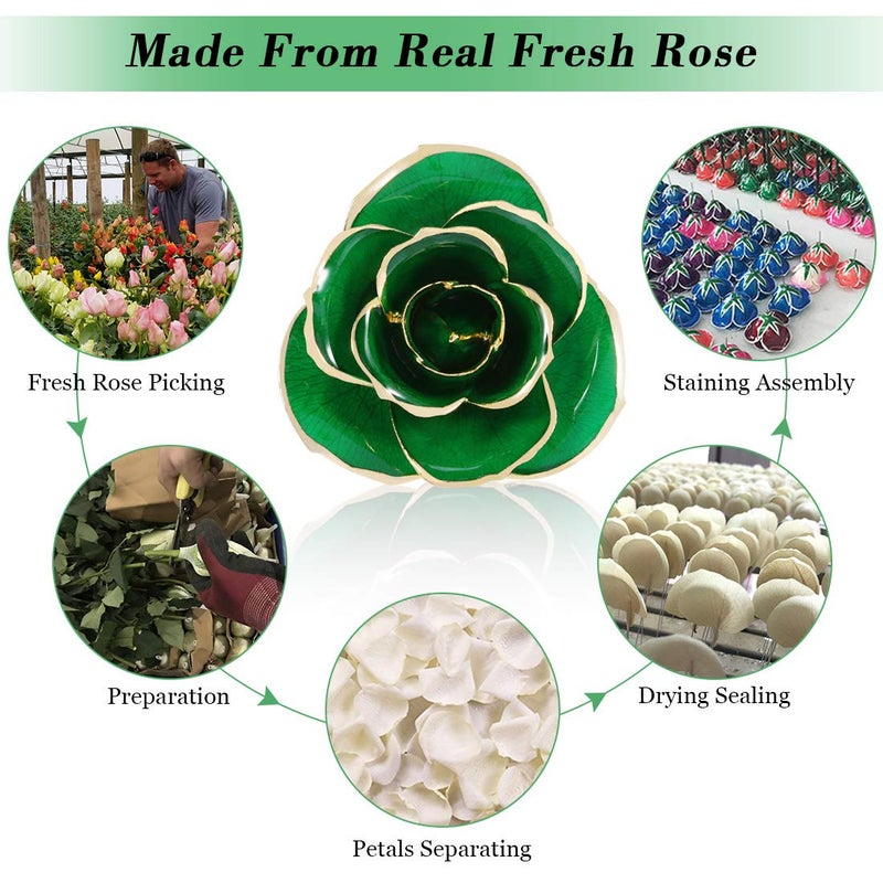 Ejoyous Ejoyous 24K Gold Dipped Real Rose Flower  Golden Rose Best Friend Romantic Love for Girlfriend Confidante Wife Grandma on Birthday Sweetest Day Halloween Thanksgiving Christmas  Green  - Image 3