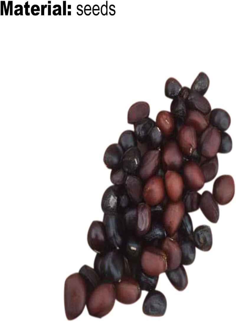 جي جوت 200 قطعة/حقيبة بذور زنبق، دائمة الخضرة سهلة الزراعة سريعة النمو جذابة بذور زهرة بونساي للحديقة للشرفة 4 - Image 3