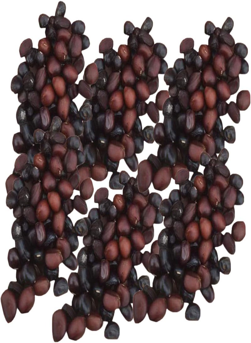 جي جوت 200 قطعة/حقيبة بذور زنبق، دائمة الخضرة سهلة الزراعة سريعة النمو جذابة بذور زهرة بونساي للحديقة للشرفة 4 - Image 2