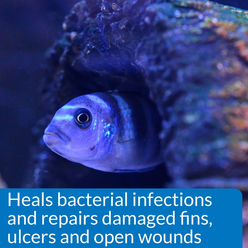 API MELAFIX Freshwater Fish Bacterial Infection Remedy 64-Ounce Bottle - Image 4