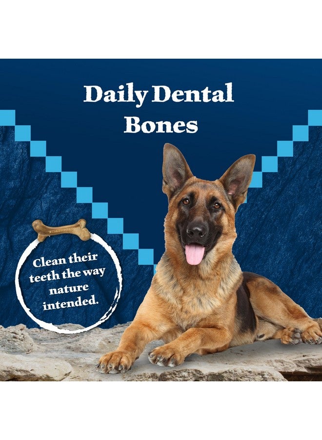 بلو بافلو مكافآت الكلاب من Wilderness Wild Bones Grain-Free Dental Chews، متوسطة الحجم، كيس 10 أونصات - Image 3