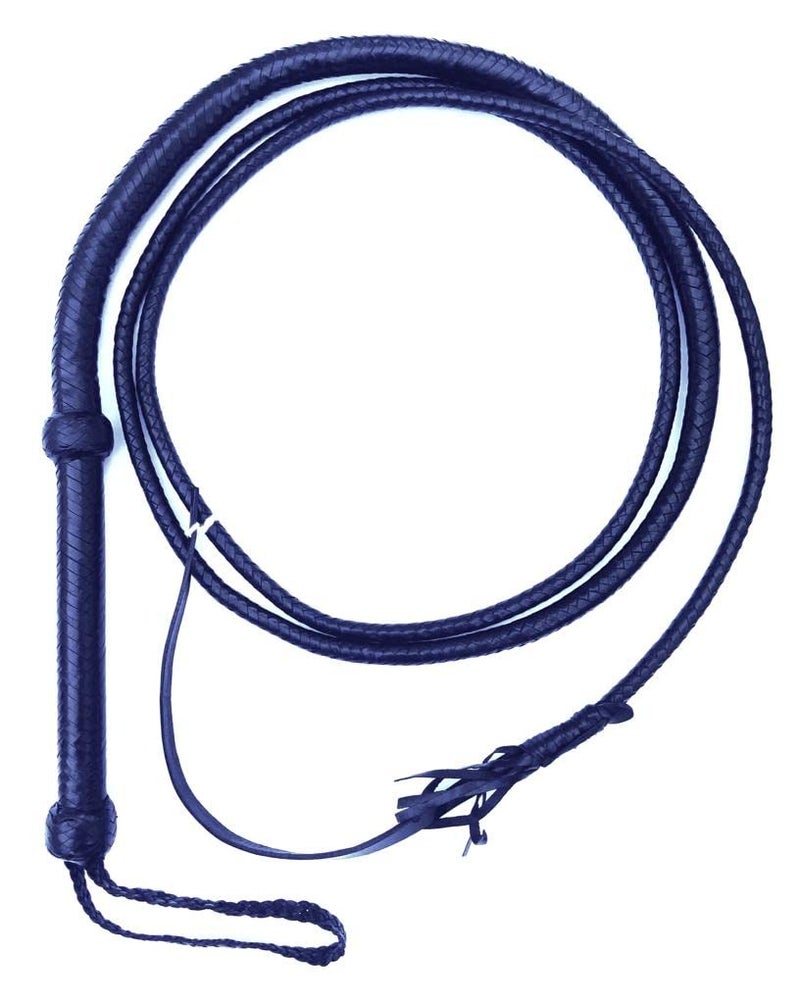 PETS TRIANGLE 14 plaits Genuine Leather Indiana John Style Bull Whip for Horse Riding, Action Games and Stunts (10 Feet, Brown) - Image 3