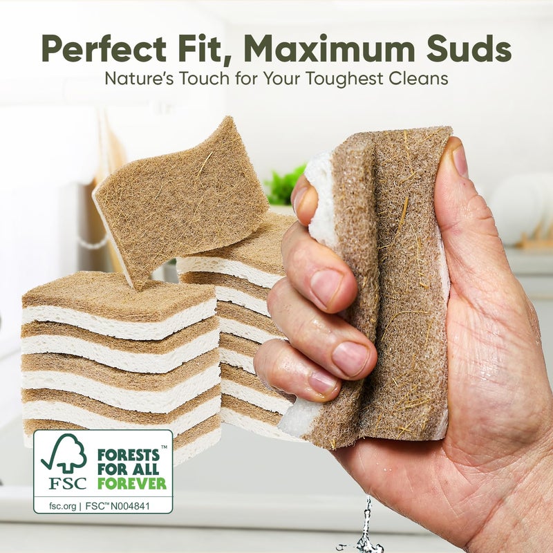 EcoFox Plant-Based Kitchen Sponges (12 Pack) | FSC-Certified & PETA Approved | Natural Cellulose & Coconut Blend Scrubber Dish Sponges for Kitchen | S-Shaped Design | Eco-Friendly, Non-Scratch & Non-Toxic - Image 4