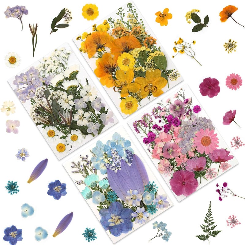 LUXEEASE 110P 4 Color Long Stem Dried Flowers for Crafts, Real Natural Pressed Flowers in Mixed Tones for Resin Art, DIY Crafts, Jewelry & Candle Decor – Tweezers Included - Image 1