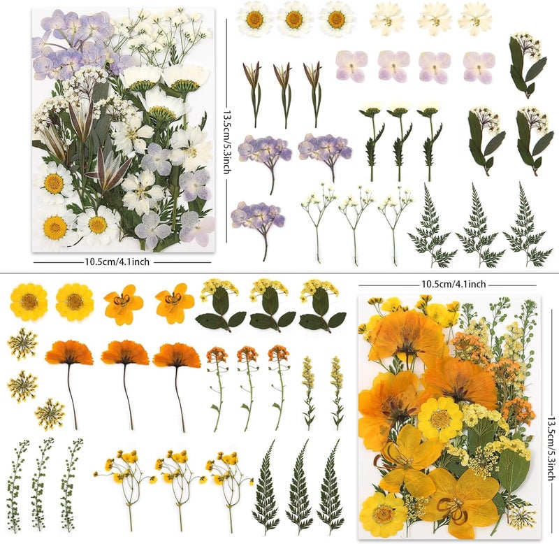 LUXEEASE 110P 4 Color Long Stem Dried Flowers for Crafts, Real Natural Pressed Flowers in Mixed Tones for Resin Art, DIY Crafts, Jewelry & Candle Decor – Tweezers Included - Image 2
