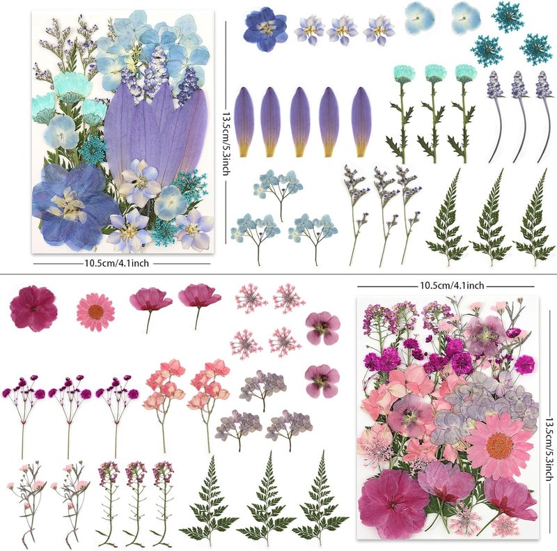 LUXEEASE 110P 4 Color Long Stem Dried Flowers for Crafts, Real Natural Pressed Flowers in Mixed Tones for Resin Art, DIY Crafts, Jewelry & Candle Decor – Tweezers Included - Image 3