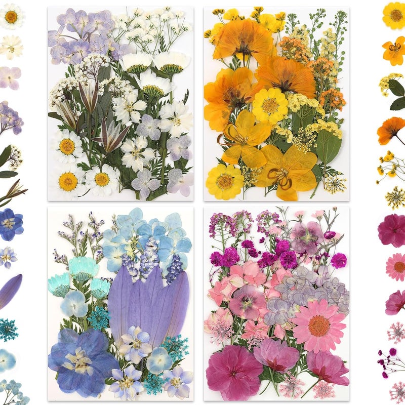 LUXEEASE 110P 4 Color Long Stem Dried Flowers for Crafts, Real Natural Pressed Flowers in Mixed Tones for Resin Art, DIY Crafts, Jewelry & Candle Decor – Tweezers Included - Image 4