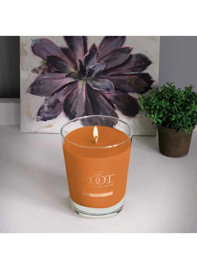 Root Candles Fall Scented Candles Honeycomb Premium Handcrafted Beeswax Blend Candle, Large Veriglass, Mulled Cider - Image 4