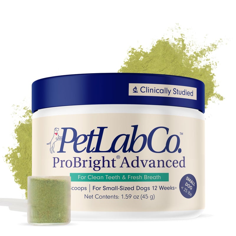 PetLab Co. ProBright Advanced Dental Powder - Dog Breath Freshener - Teeth Cleaning Made Easy â€“ Targets Tartar & Bad Breath - Packaging May Vary - Formulated for Small Dogs - Image 1