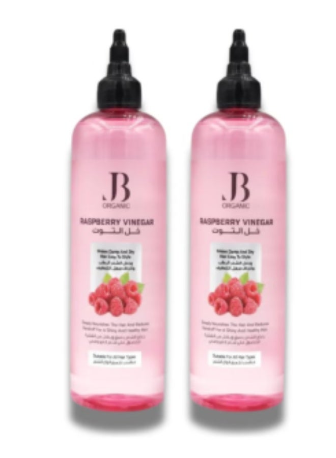 JB ORGANIC Berry Vinegar Hair Strengthening Tonic, 2*400 ml (2PCS) - Image 2