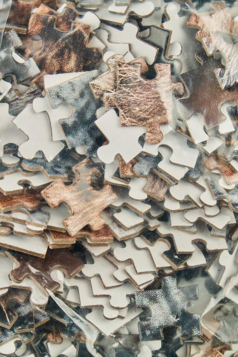 Ambassador Wild Life Photographers 3x1000 Puzzles  - Image 2
