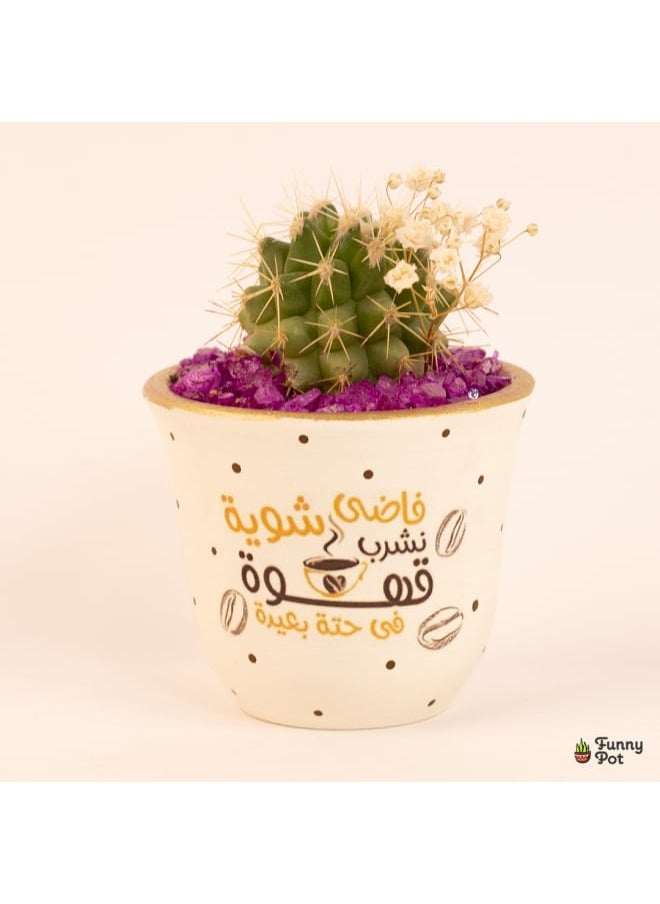 Funny Pot Cactus pottery pot 