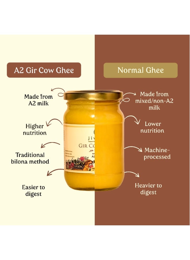Jivika A2 Gir Cow Ghee - 250ml - Image 3