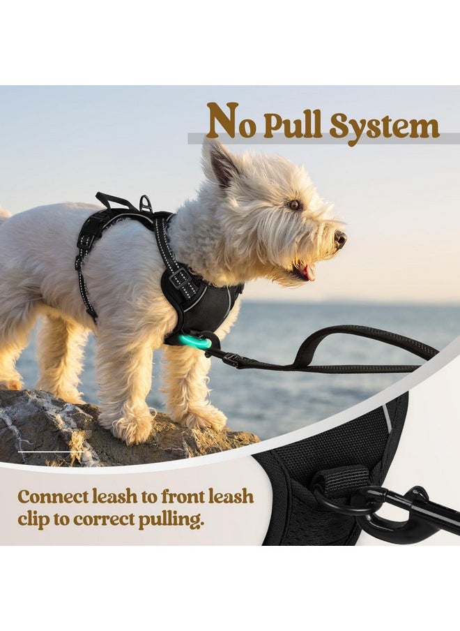 Rabbitgoo rabbitgoo Dog Harness No Pull with 2 Leash Clips, Adjustable Soft Padded, Reflective Oxford No Choke Pet Vest with Easy Control Handle for Puppy, Black, XS  - Image 4