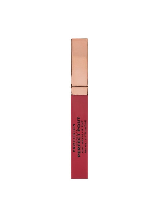 Profusion Cosmetics Perfect Pout Soft Matte Lip Tint-6 Shades Long-Wearing Liquid Colors, Non-Drying, Smudge-Proof, Vegan & Cruelty-Free Makeup (Humble) - Image 2