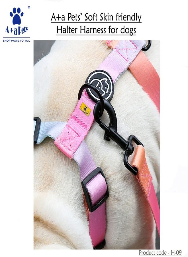 A+a Pets' H-Harness for Dogs, Cats | Soft Premium Waterproof (Gradient Design Pink, M) - Image 3