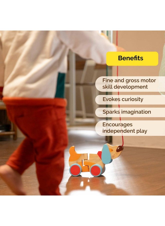 Shumee - Wooden Pull-Along Dog(Bruno) Toy (1 Years+) | Multicolor | Eco Friendly & Safe | 100% Child Safe | No Plastic | Astm Certified - Image 1