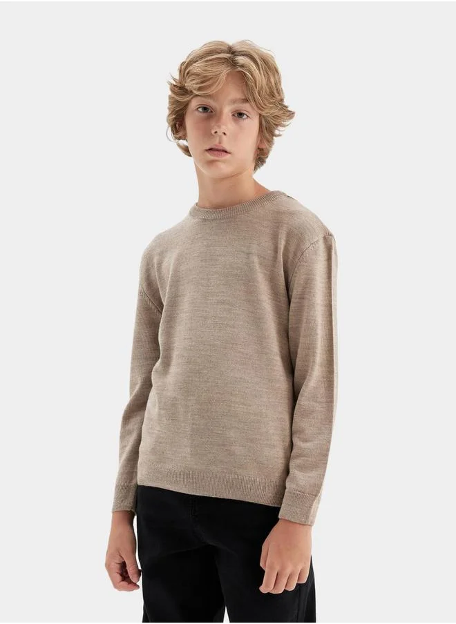 DeFacto Regular Fit Crew Neck Knit Sweater