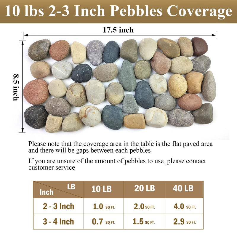 FANTIAN 20 lbs Natural River Rocks Mexican Beach Pebbles, 2-3 Inch Decorative River Rocks for Landscaping Garden Paving Plant Rocks Crafting Walkways and Outdoor Decorative Stone - Image 3