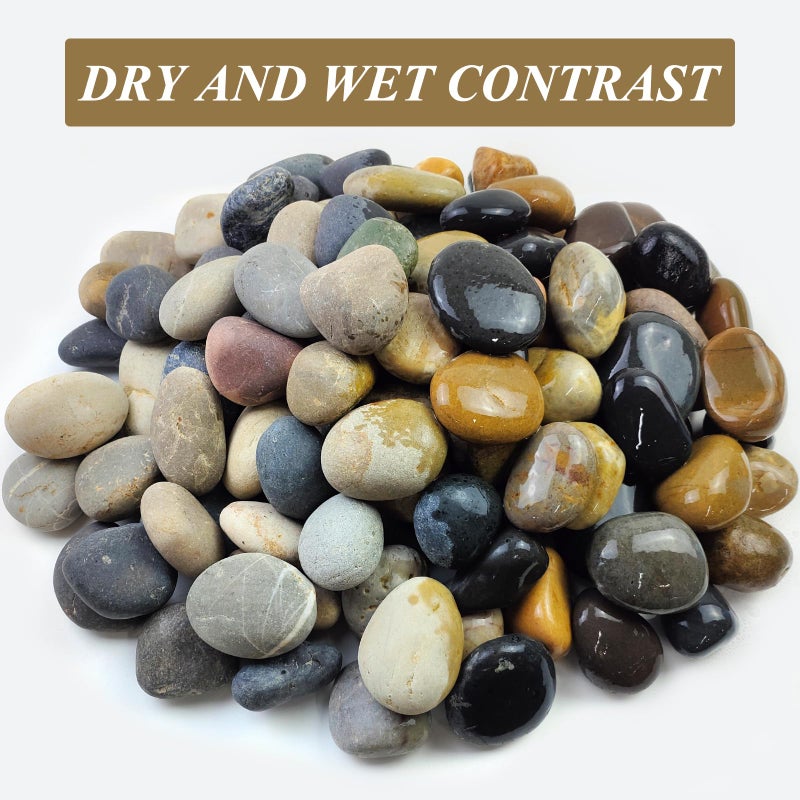 FANTIAN 20 lbs Natural River Rocks Mexican Beach Pebbles, 2-3 Inch Decorative River Rocks for Landscaping Garden Paving Plant Rocks Crafting Walkways and Outdoor Decorative Stone - Image 2