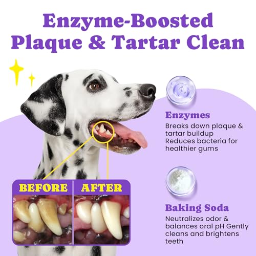 BuddyCheer No-Rinse Dog Dental Care Wipes, Cat & Dog tooth brushing kit, Dog Wipes for Pet & Cat Teeth Cleaning, Dog toothbrush Finger Dental Wipes to Remove Plaque & Tartar, Disposable Dog Wipes - 50 Count - Image 4