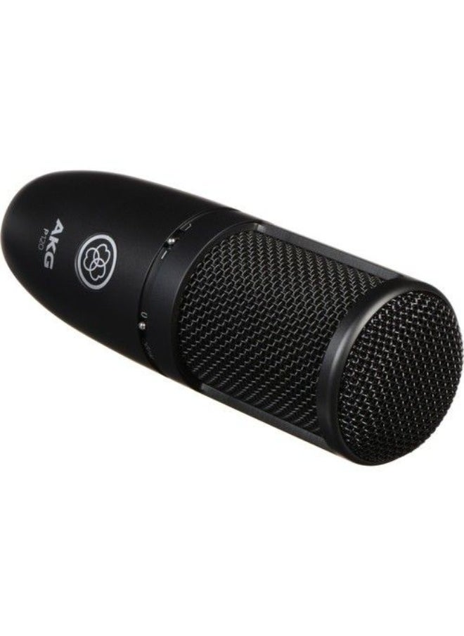 AKG - AKG P120 Cardioid Condenser Microphone (Black) - Image 1