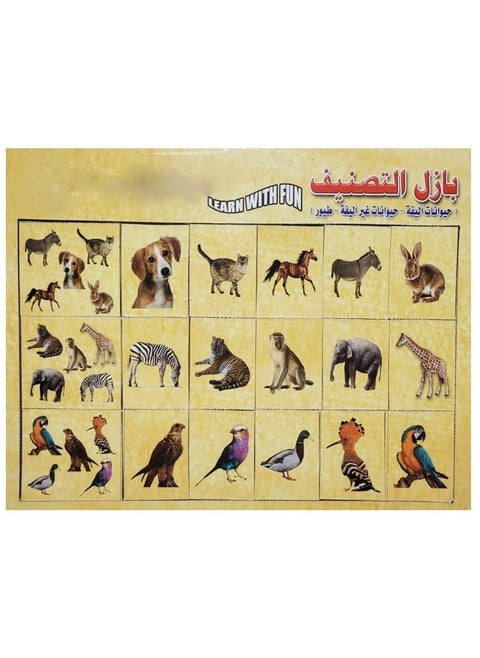 Classification Puzzle Pets Non Pets And Birds